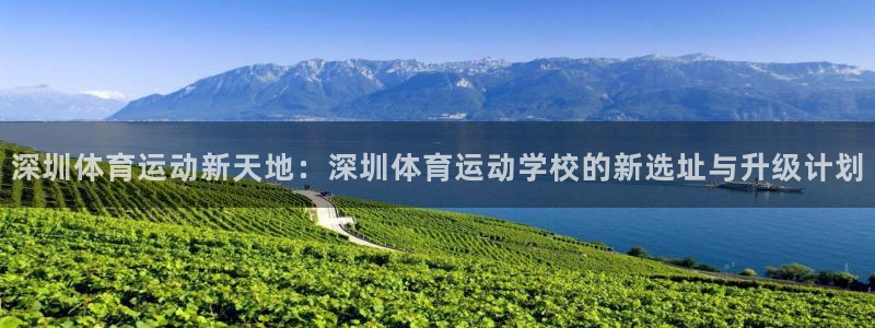 极速体育录像全场回放：深圳体育运动新天地：深圳体育运动学校的新选址与升级计划