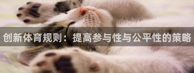 下载极速体育app：创新体育规则：提高参与性与公平性的策略
