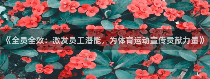 极速体育jrs：《全员全效：激发员工潜能，为体育运动宣传贡献力量》