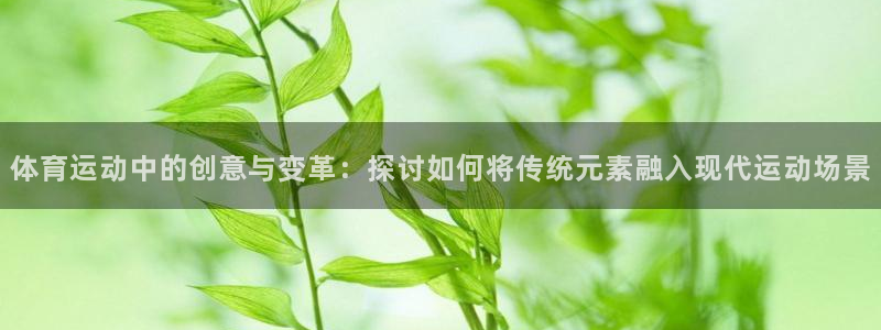 nba极速体育在线观看：体育运动中的创意与变革：探讨如何将传统元素融入现代运动场景